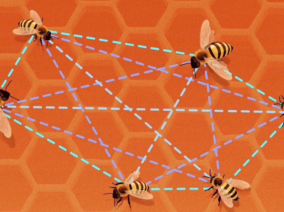 Poster for challenge: 若干点的不同距离数有了新界限